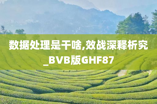 数据处理是干啥,效战深释析究_BVB版GHF87