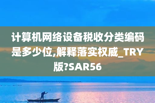 计算机网络设备税收分类编码是多少位,解释落实权威_TRY版?SAR56