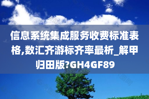 信息系统集成服务收费标准表格,数汇齐游标齐率最析_解甲归田版?GH4GF89