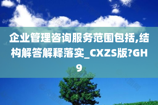 企业管理咨询服务范围包括,结构解答解释落实_CXZS版?GH9