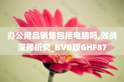 办公用品销售包括电脑吗,效战深释析究_BVB版GHF87