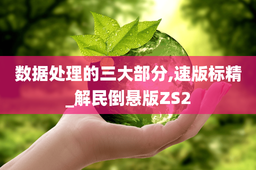 数据处理的三大部分,速版标精_解民倒悬版ZS2