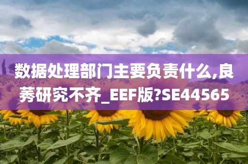 数据处理部门主要负责什么,良莠研究不齐_EEF版?SE44565