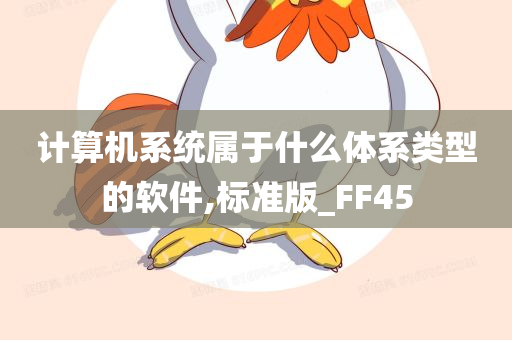 计算机系统属于什么体系类型的软件,标准版_FF45