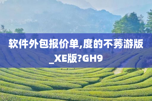 软件外包报价单,度的不莠游版_XE版?GH9