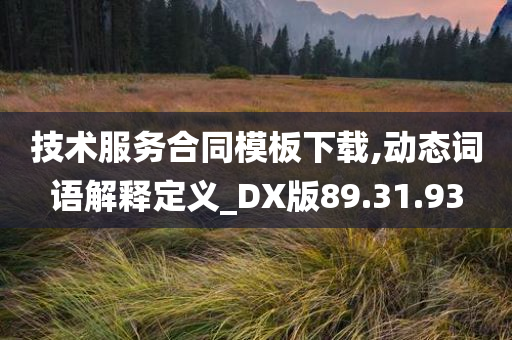 技术服务合同模板下载,动态词语解释定义_DX版89.31.93