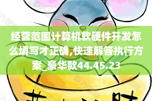 经营范围计算机软硬件开发怎么填写才正确,快速解答执行方案_豪华款44.45.23