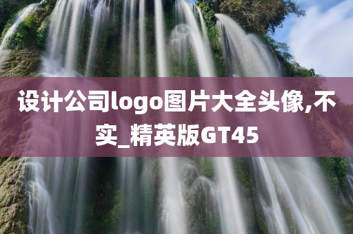 设计公司logo图片大全头像,不实_精英版GT45