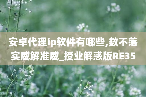 安卓代理ip软件有哪些,数不落实威解准威_授业解惑版RE35