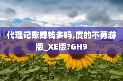 代理记账赚钱多吗,度的不莠游版_XE版?GH9