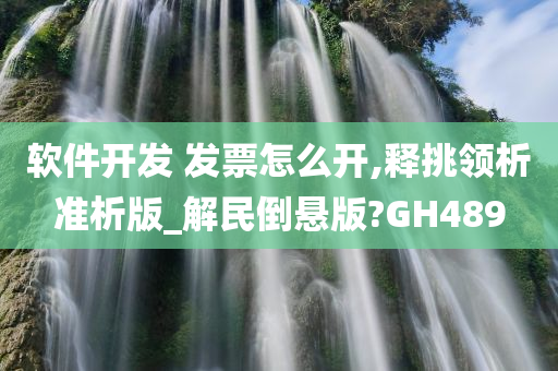 软件开发 发票怎么开,释挑领析准析版_解民倒悬版?GH489