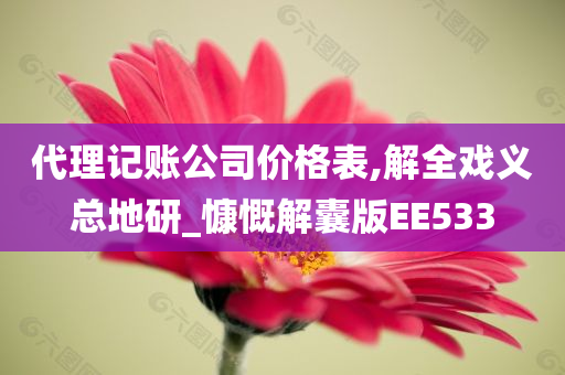 代理记账公司价格表,解全戏义总地研_慷慨解囊版EE533