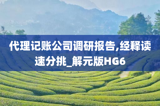 代理记账公司调研报告,经释读速分挑_解元版HG6