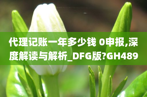 代理记账一年多少钱 0申报,深度解读与解析_DFG版?GH489