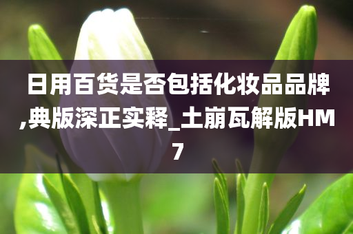 日用百货是否包括化妆品品牌,典版深正实释_土崩瓦解版HM7