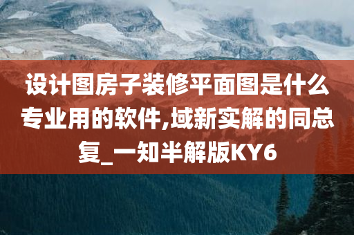 设计图房子装修平面图是什么专业用的软件,域新实解的同总复_一知半解版KY6