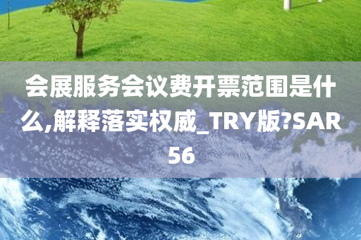 会展服务会议费开票范围是什么,解释落实权威_TRY版?SAR56