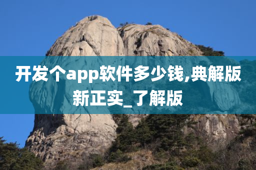 开发个app软件多少钱,典解版新正实_了解版