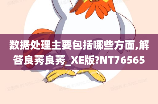 数据处理主要包括哪些方面,解答良莠良莠_XE版?NT76565