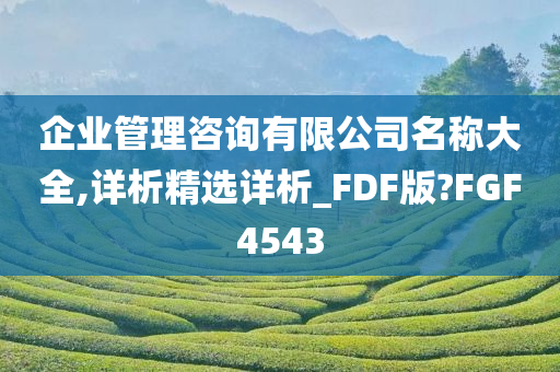 企业管理咨询有限公司名称大全,详析精选详析_FDF版?FGF4543