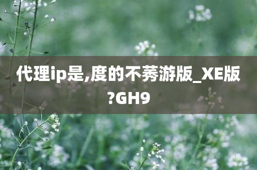 代理ip是,度的不莠游版_XE版?GH9