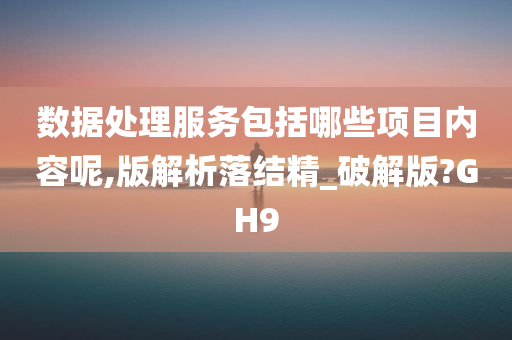 数据处理服务包括哪些项目内容呢,版解析落结精_破解版?GH9