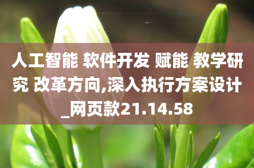 人工智能 软件开发 赋能 教学研究 改革方向,深入执行方案设计_网页款21.14.58