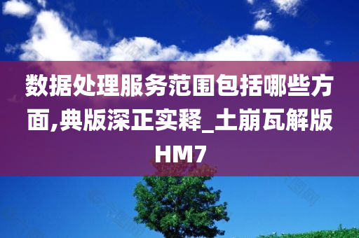 数据处理服务范围包括哪些方面,典版深正实释_土崩瓦解版HM7