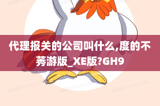 代理报关的公司叫什么,度的不莠游版_XE版?GH9