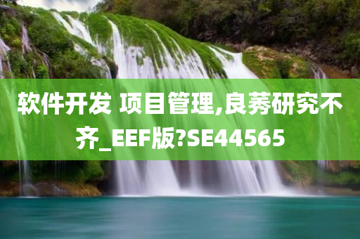 软件开发 项目管理,良莠研究不齐_EEF版?SE44565