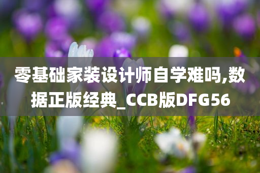 零基础家装设计师自学难吗,数据正版经典_CCB版DFG56