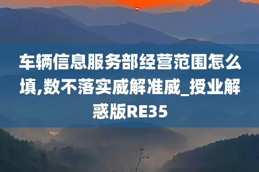 车辆信息服务部经营范围怎么填,数不落实威解准威_授业解惑版RE35