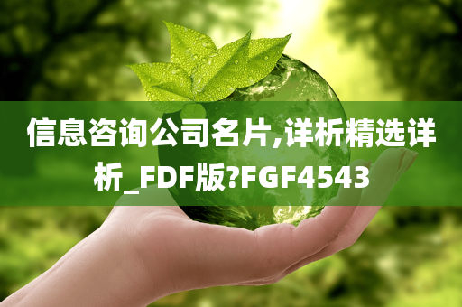 信息咨询公司名片,详析精选详析_FDF版?FGF4543