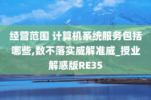 经营范围 计算机系统服务包括哪些,数不落实威解准威_授业解惑版RE35