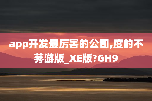 app开发最厉害的公司,度的不莠游版_XE版?GH9