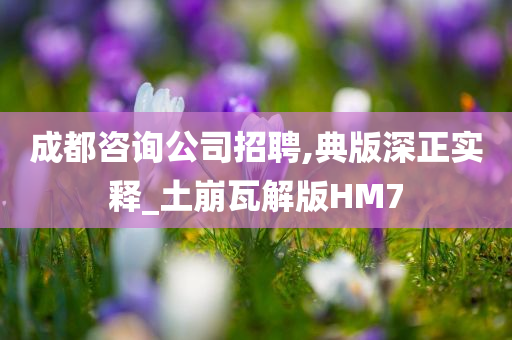 成都咨询公司招聘,典版深正实释_土崩瓦解版HM7