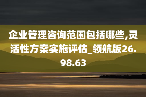 企业管理咨询范围包括哪些,灵活性方案实施评估_领航版26.98.63