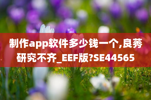 制作app软件多少钱一个,良莠研究不齐_EEF版?SE44565