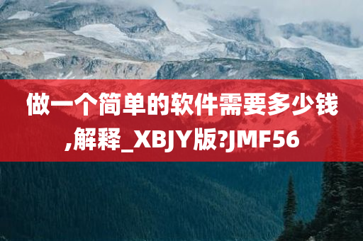 做一个简单的软件需要多少钱,解释_XBJY版?JMF56