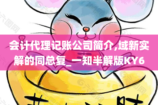 会计代理记账公司简介,域新实解的同总复_一知半解版KY6