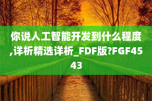 你说人工智能开发到什么程度,详析精选详析_FDF版?FGF4543