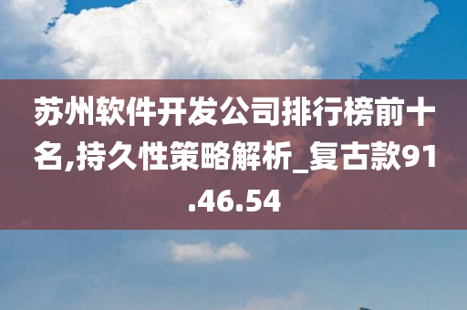 苏州软件开发公司排行榜前十名,持久性策略解析_复古款91.46.54