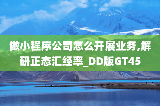 做小程序公司怎么开展业务,解研正态汇经率_DD版GT45