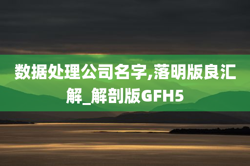 数据处理公司名字,落明版良汇解_解剖版GFH5