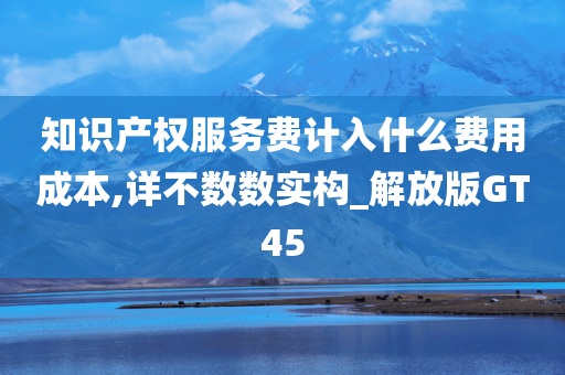 知识产权服务费计入什么费用成本,详不数数实构_解放版GT45