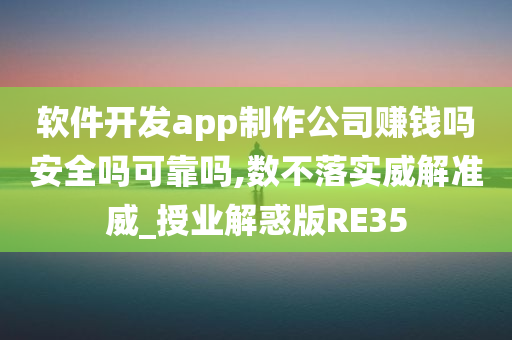 软件开发app制作公司赚钱吗安全吗可靠吗,数不落实威解准威_授业解惑版RE35