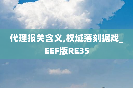 代理报关含义,权域落刻据戏_EEF版RE35