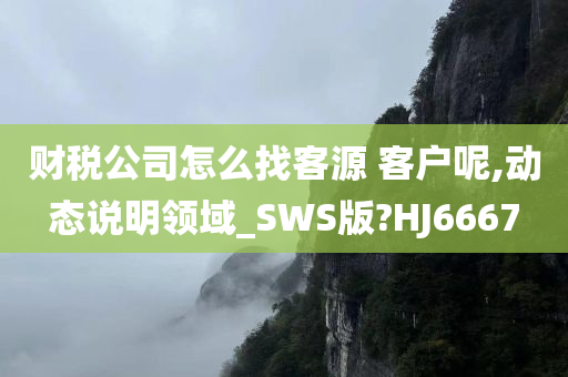 财税公司怎么找客源 客户呢,动态说明领域_SWS版?HJ6667