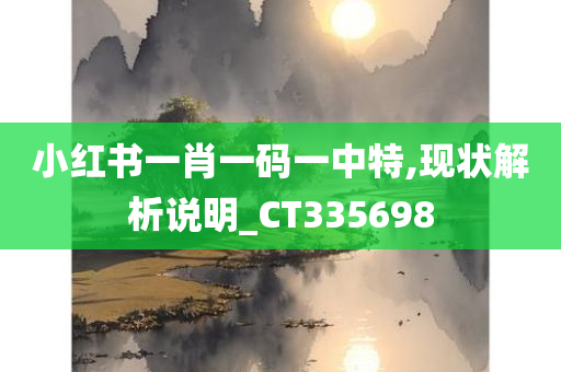 小红书一肖一码一中特,现状解析说明_CT335698