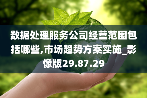 数据处理服务公司经营范围包括哪些,市场趋势方案实施_影像版29.87.29